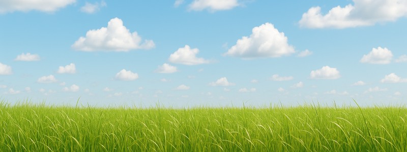 借金返済を何とか進めるために知っておきたいこと メインビジュアル